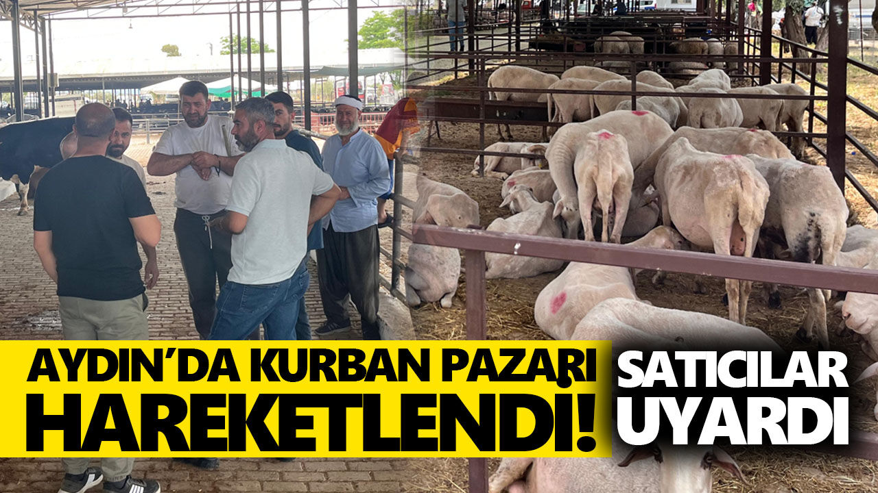 Aydın’da kurban pazarı hareketlendi! Satıcılar uyardı!