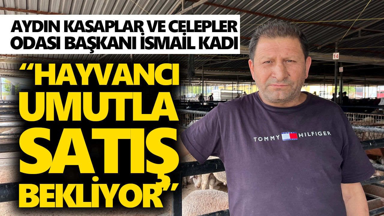 Aydın’da kurbanlıkta maliyetler arttı, et fiyatı yerinde saydı