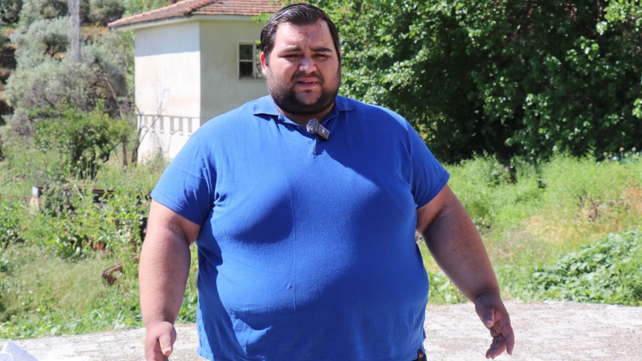 Bozdoğan'da Haşereler 2