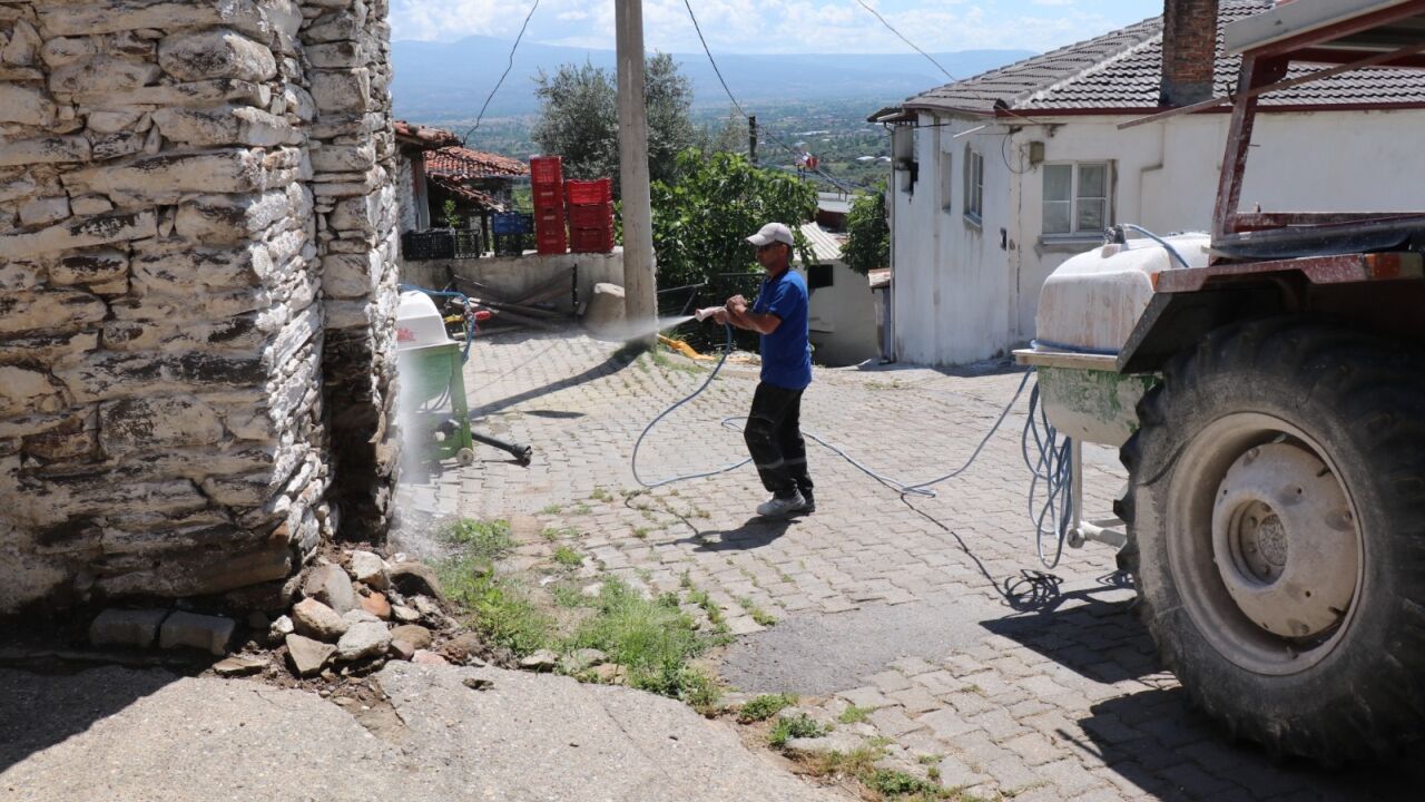 Bozdoğan'da Haşereler 3