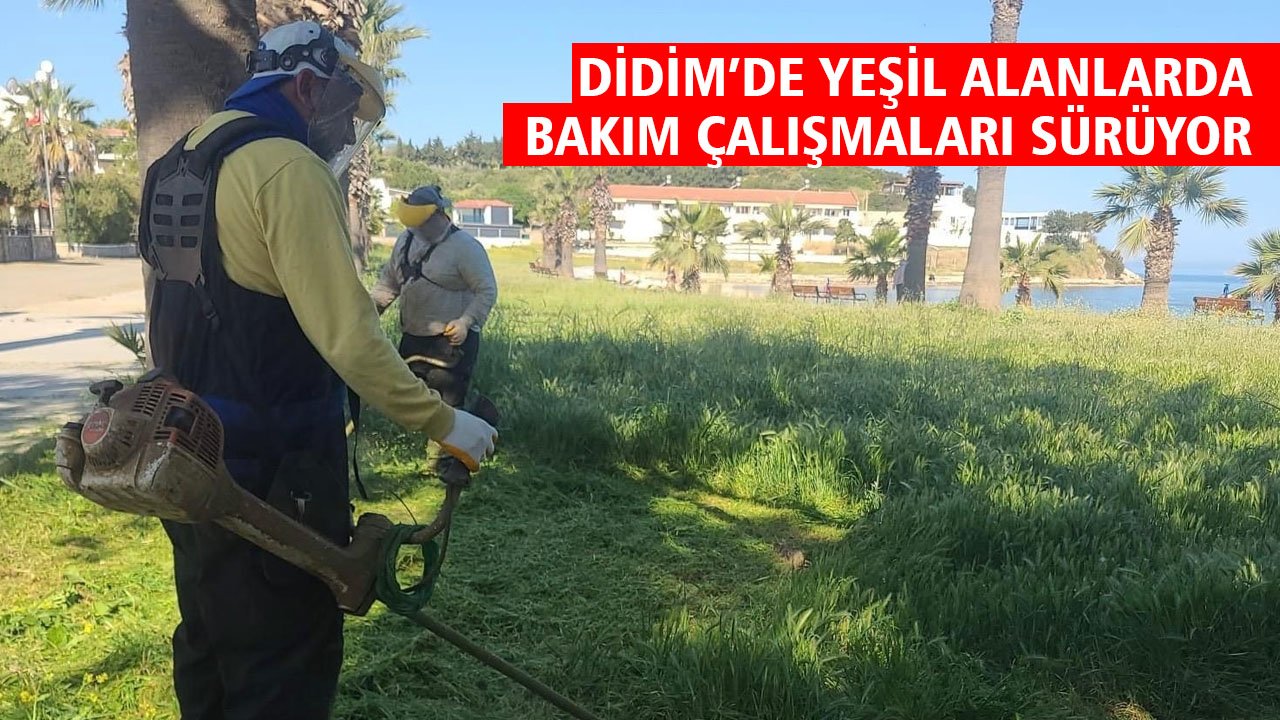 Didim’de yeşil alanlarda bakım çalışmaları sürüyor