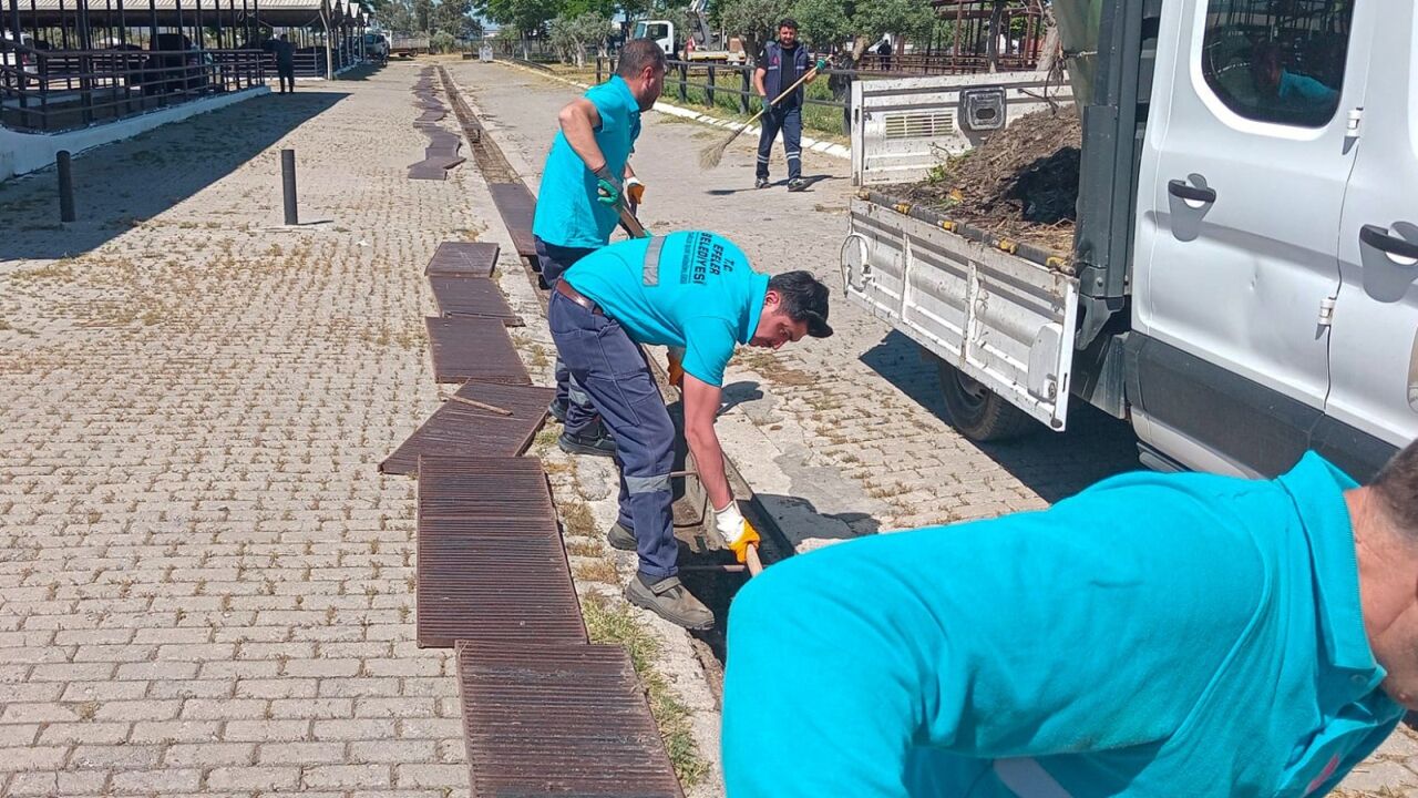 Efeler’de Kurban Pazarı Için Büyük Hazırlık 2