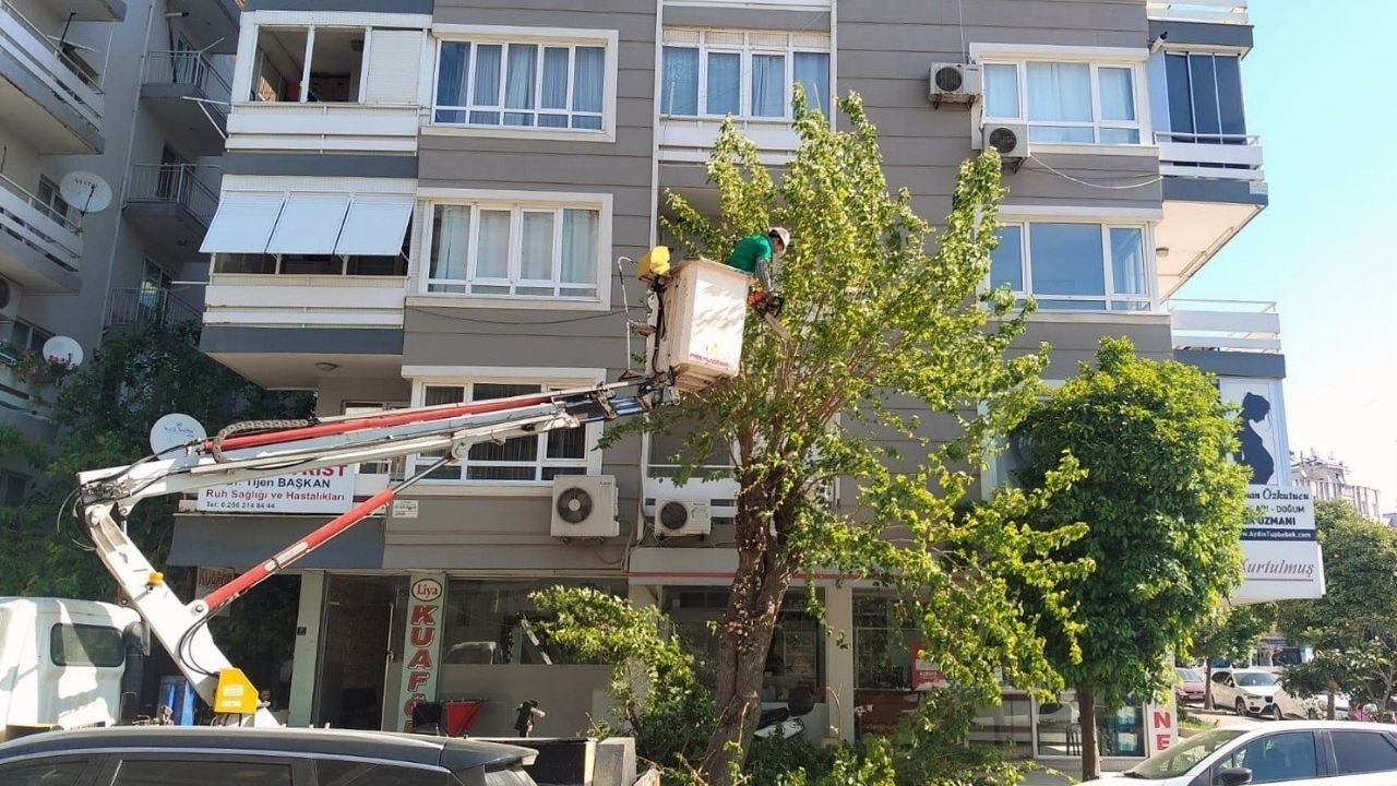 Efeler’de Parklar Ve Yeşil Alanlar Yenileniyor!1