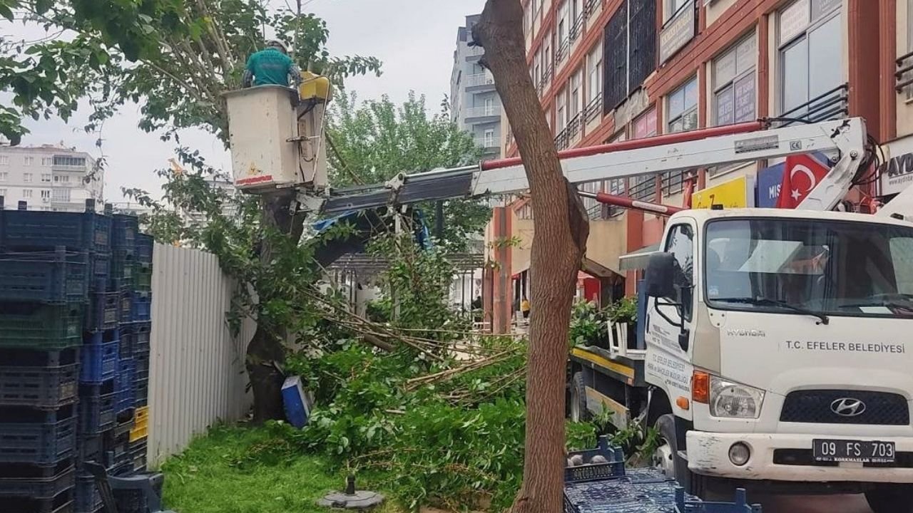 Efeler’de Parklar Ve Yeşil Alanlar Yenileniyor!40