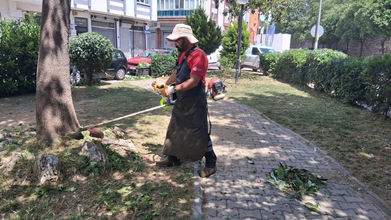 Efeler’de Parklarda Yaz Mesaisi