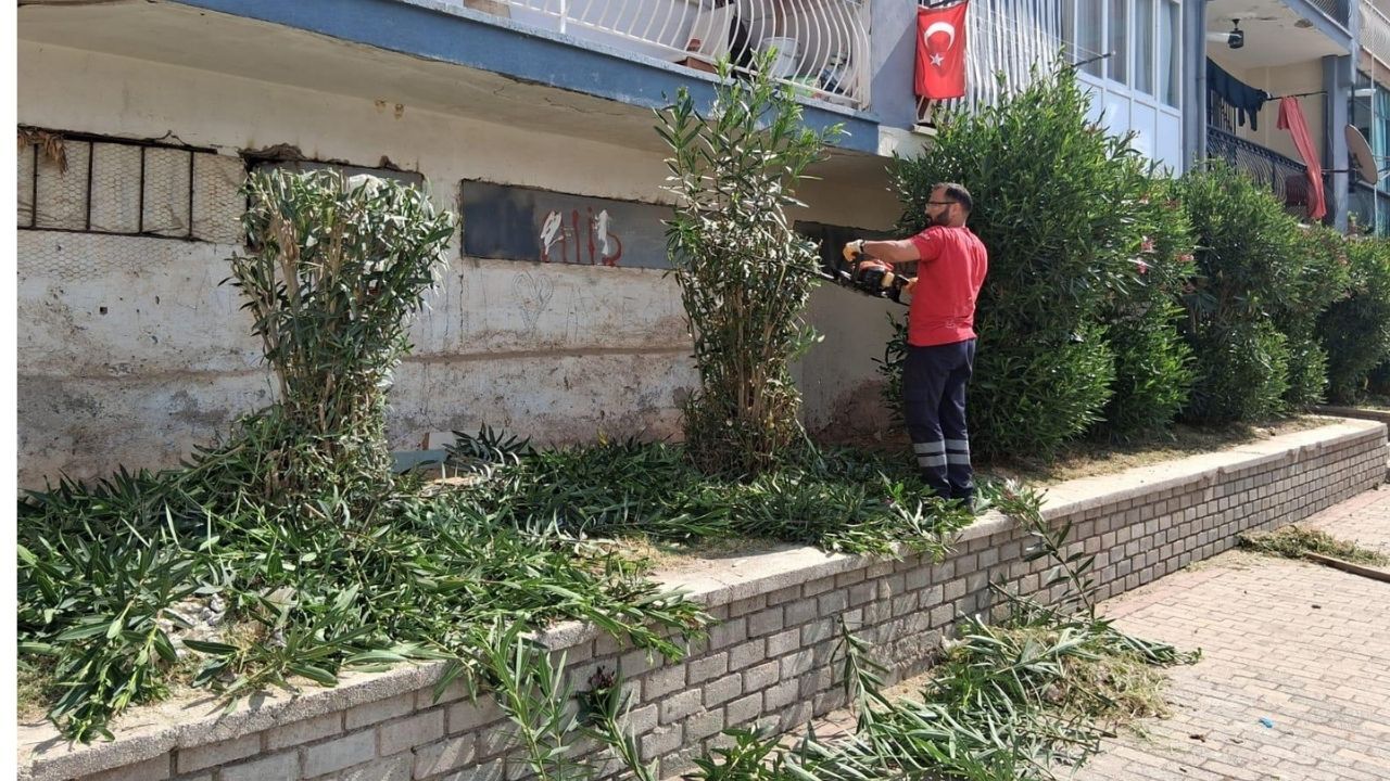 Efeler’de Parklarda Yaz Mesaisi3