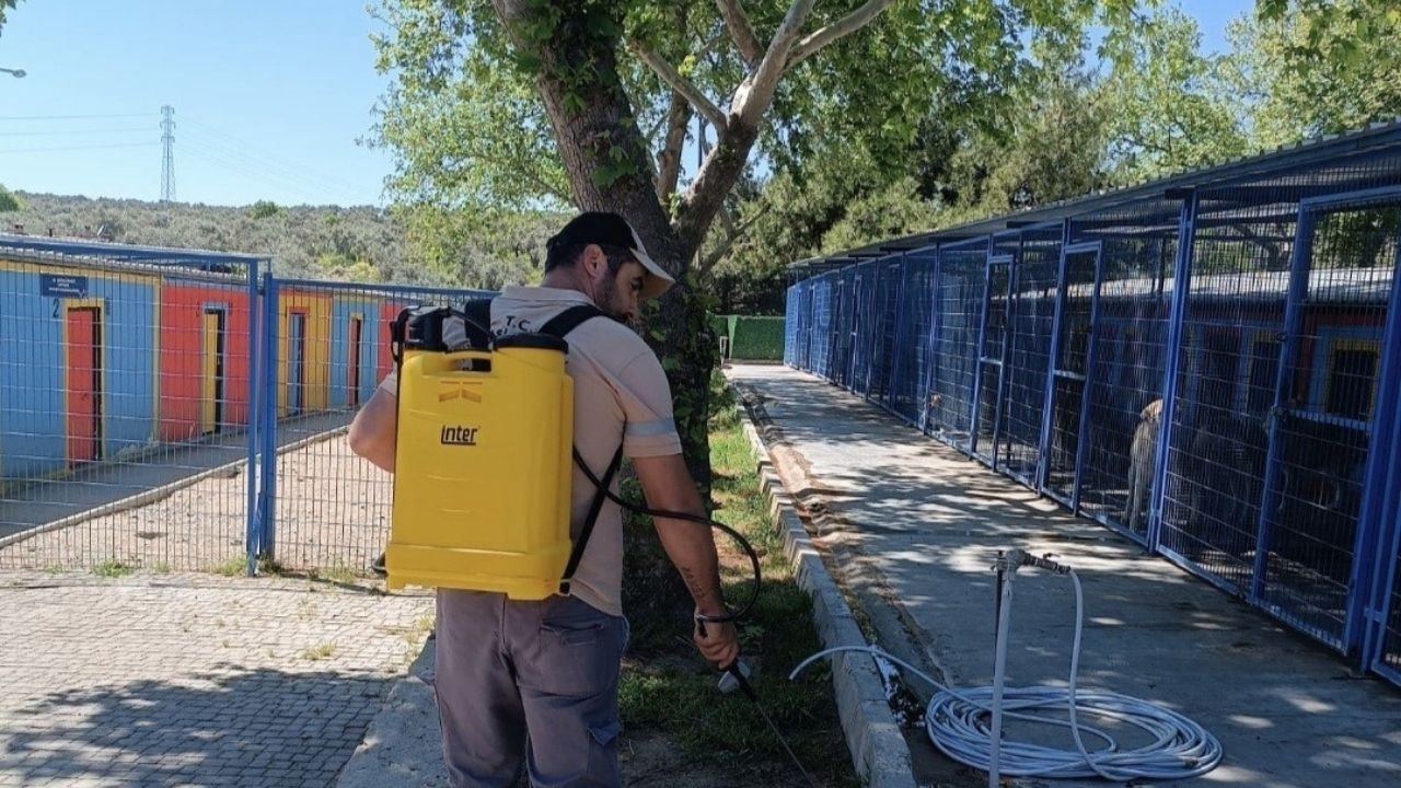 Kuşadası'nda Kene Için Erken Önlem Alındı