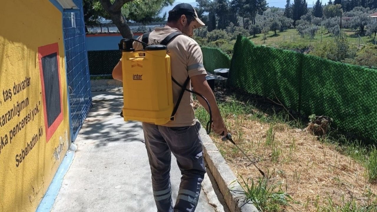 Kuşadası'nda Kene Için Erken Önlem Alındı34