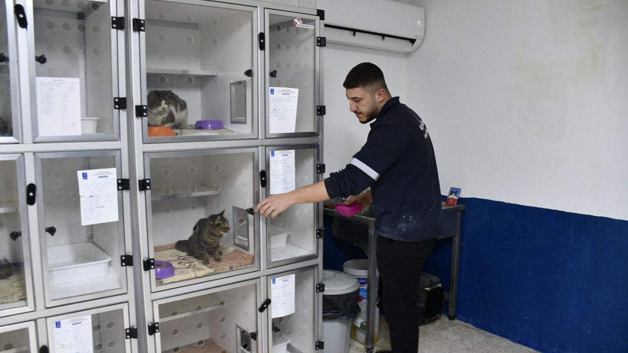 Kuşadası’nda Patili Dostlara Ücretsiz Sağlık Desteği3