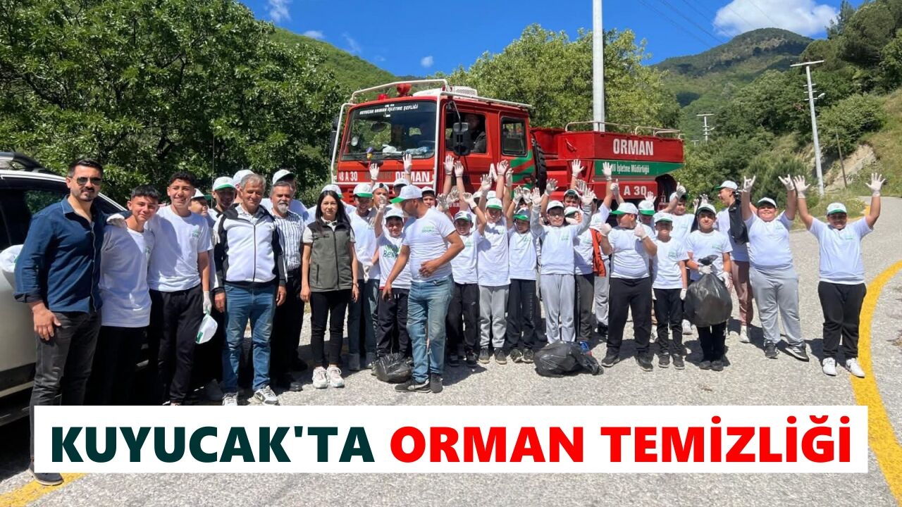 Kuyucak'ta orman temizliği