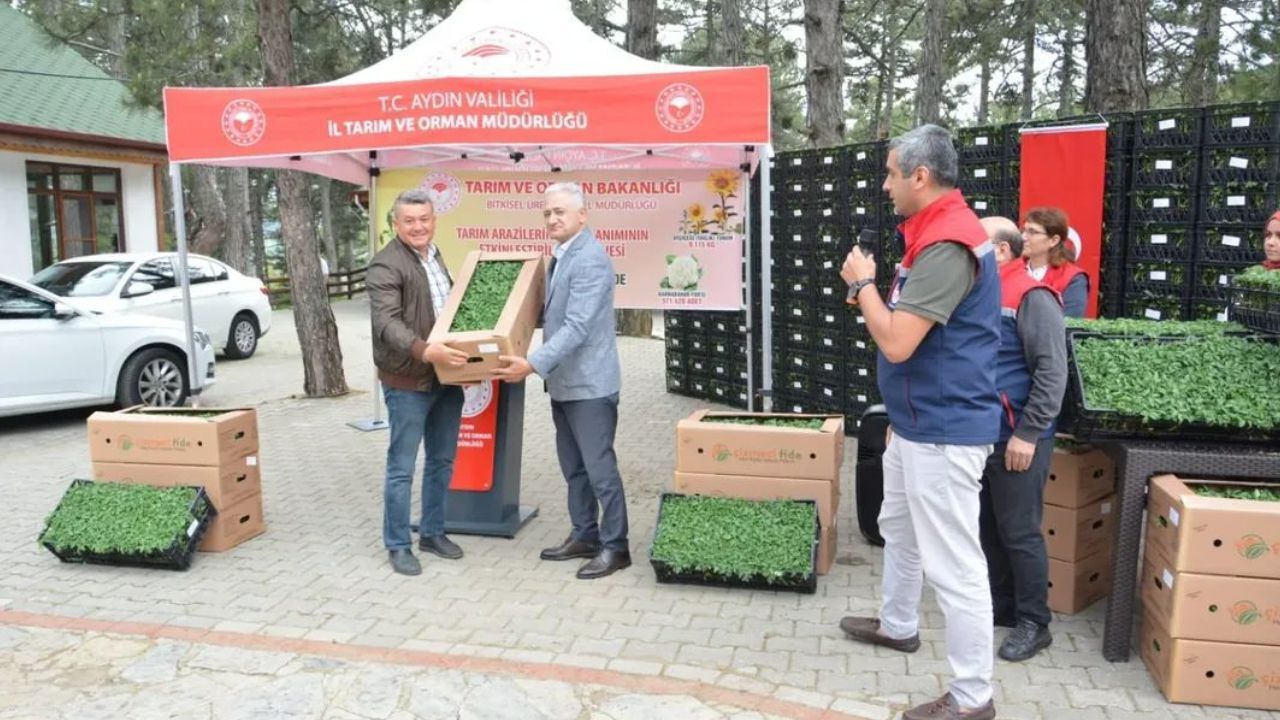 Kuyucak'ta Üreticiye Fide Desteği1