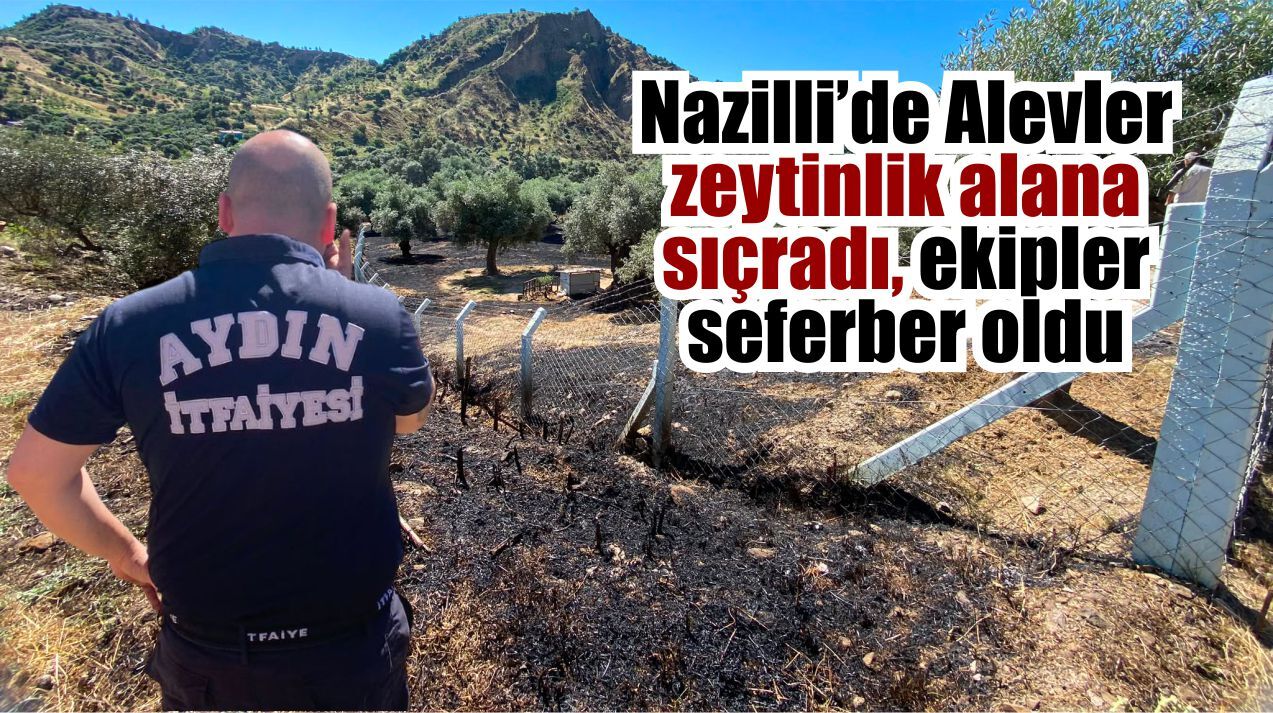 Nazilli’de zeytinlik arazide yangın