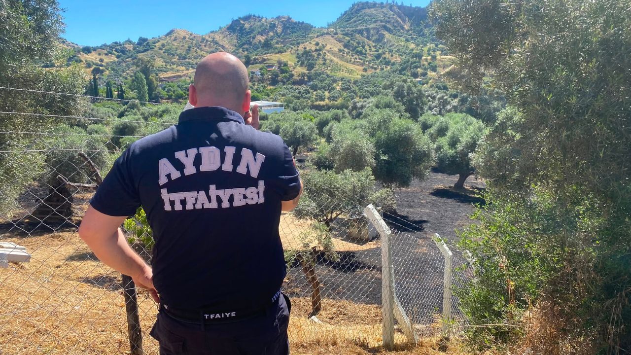 Nazilli’de Zeytinlik Arazide Yangın2