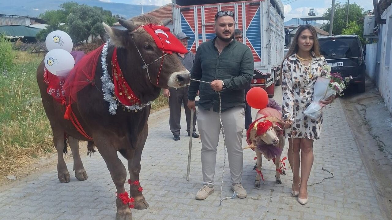 Nişanlısına Hem Koç, Hem De Dana Hediye Etti 2