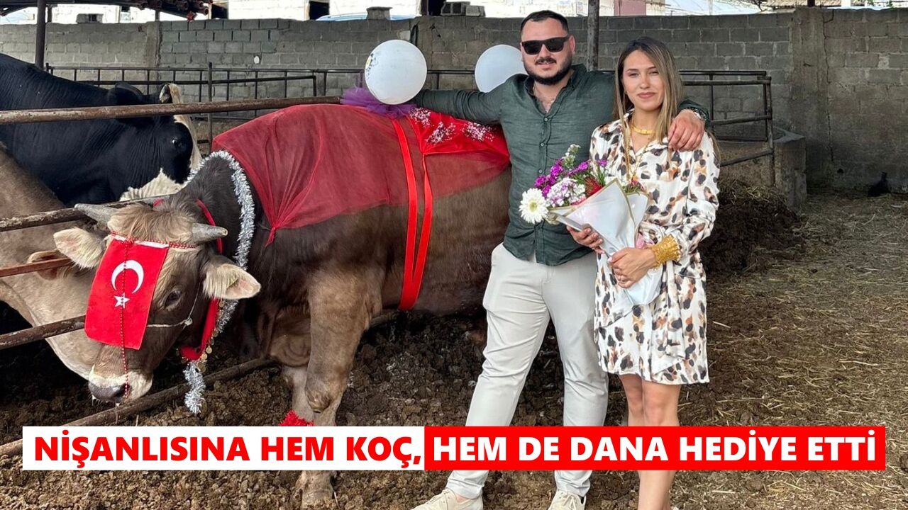 Nişanlısına hem koç, hem de dana hediye etti