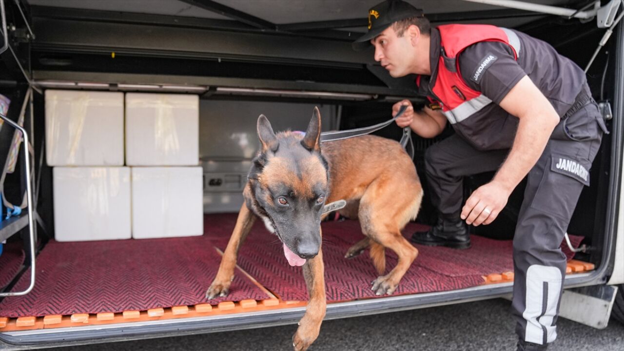Otoyollarda Bayram Tedbiri Üst Seviyeye Çıkarıldı 3