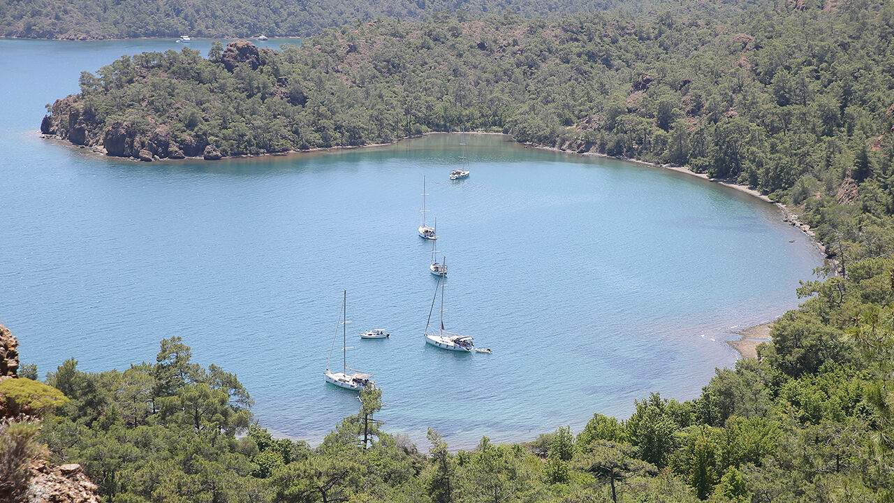 S A H İ L