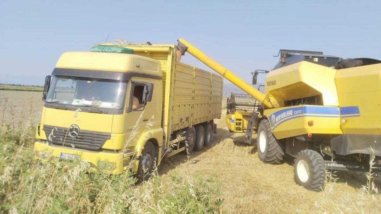 Söke Ovası’nda Buğday Hasadı Başladı2