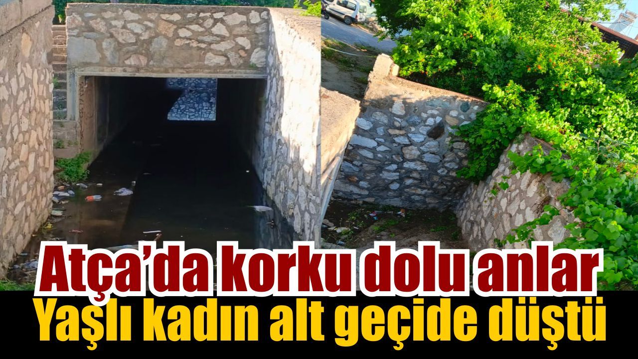 Sultanhisar’da talihsiz Olay: Yaşlı kadın ağır yaralandı