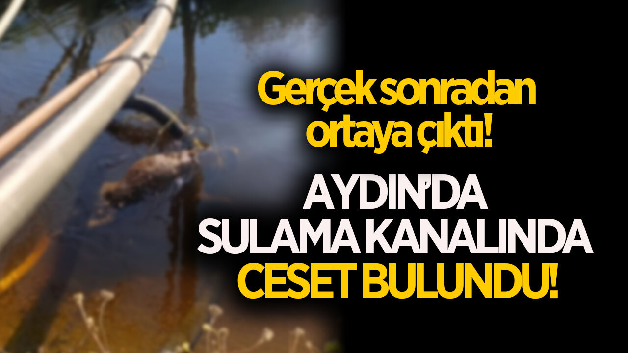 Aydın'da sulama kanalında ceset bulundu!