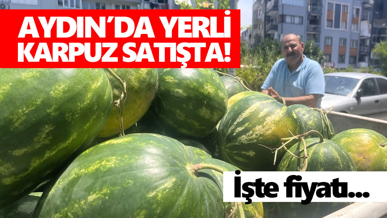 Aydın’da yerli karpuz satışta! İşte fiyatı