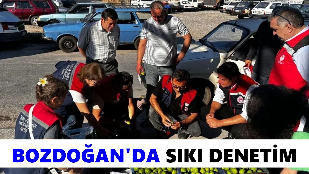Bozdoğan'da sıkı denetim