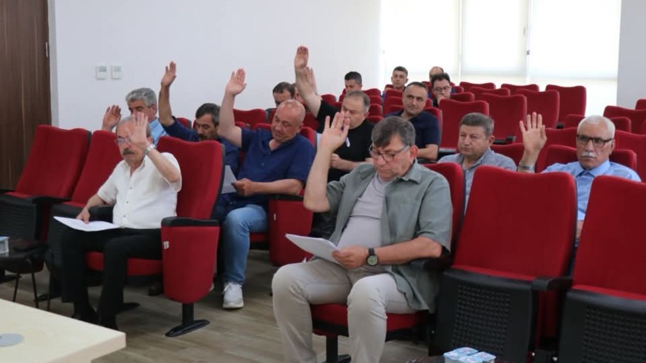 Bozdoğan'da Taşınmaz Satışı Kriz Yarattı1