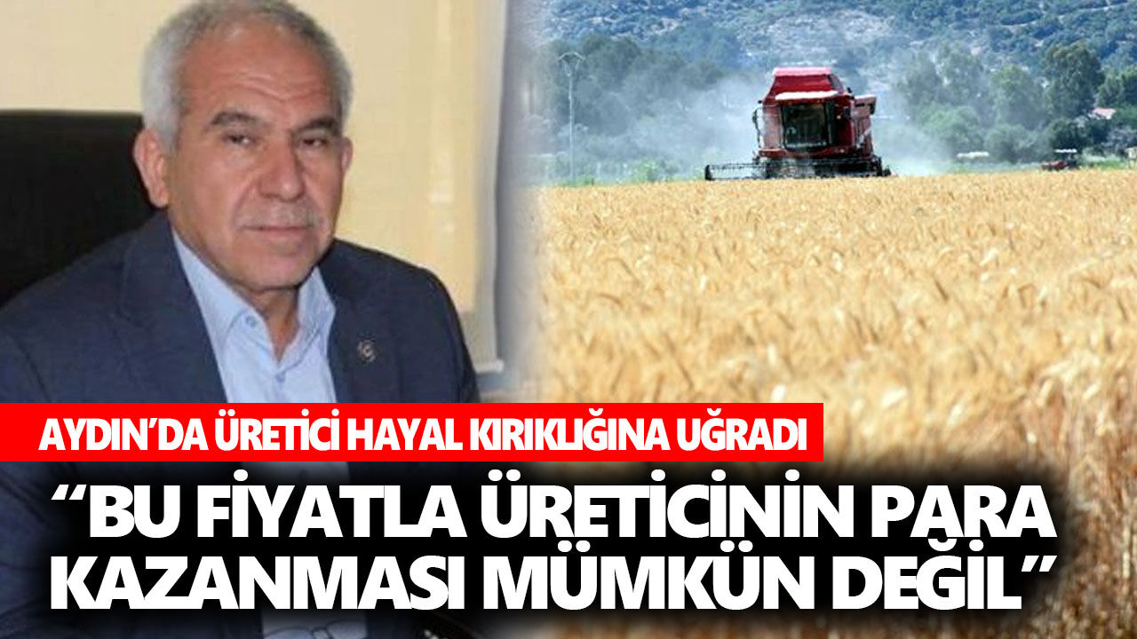 Buğday fiyatı açıklandı! Aydın’da üretici hayal kırıklığına uğradı