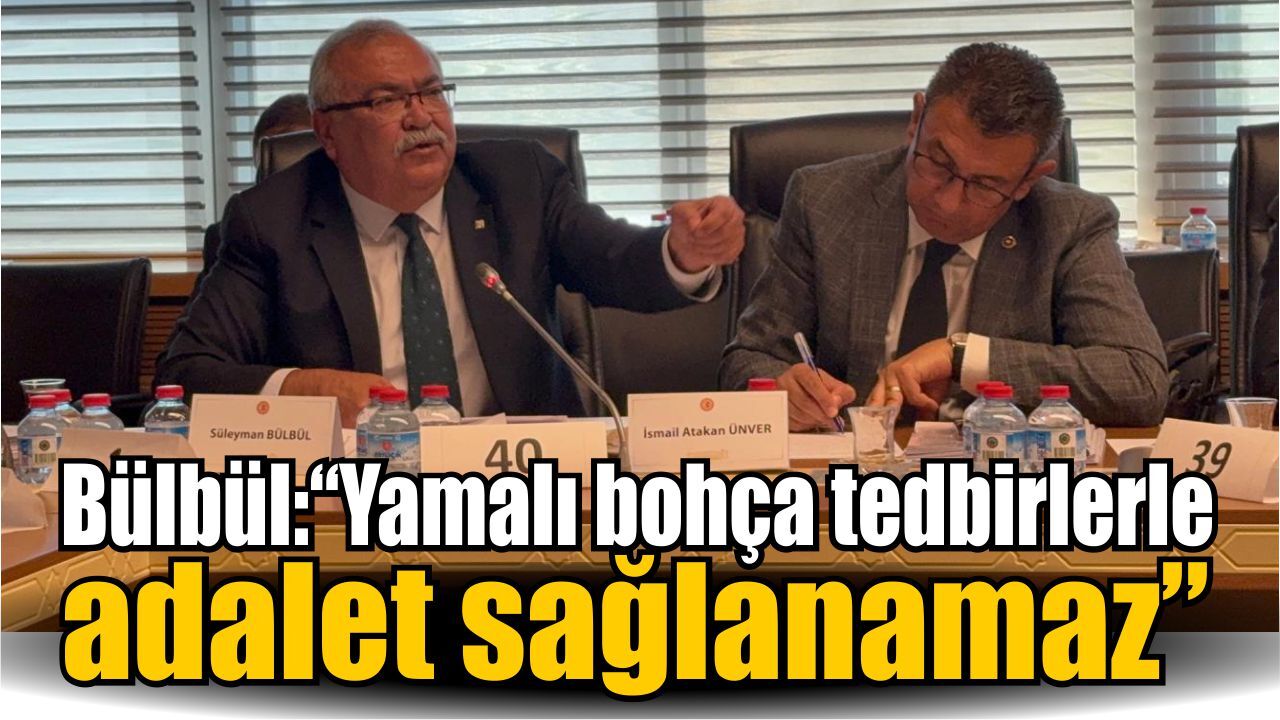 Bülbül’den infaz düzenlemesine tepki