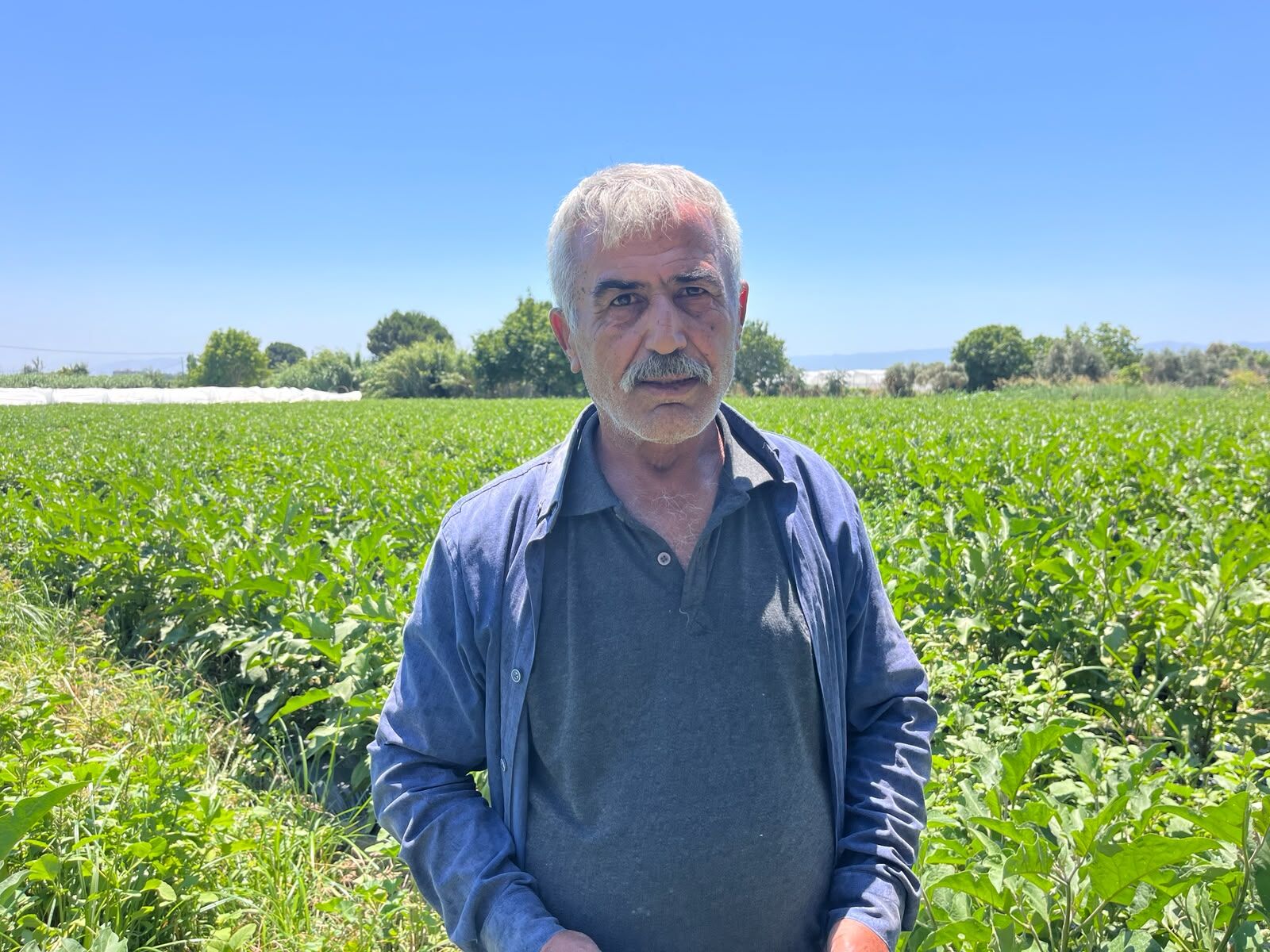 Cemal-1
