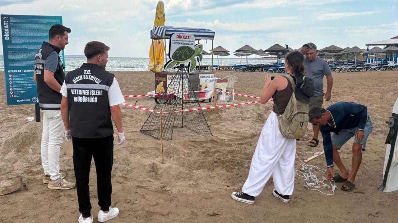 Didim’de Yönünü Şaşırdı, Ekipler Hayata Döndürdü3