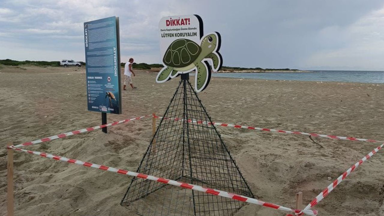 Didim’de Yönünü Şaşırdı, Ekipler Hayata Döndürdü6