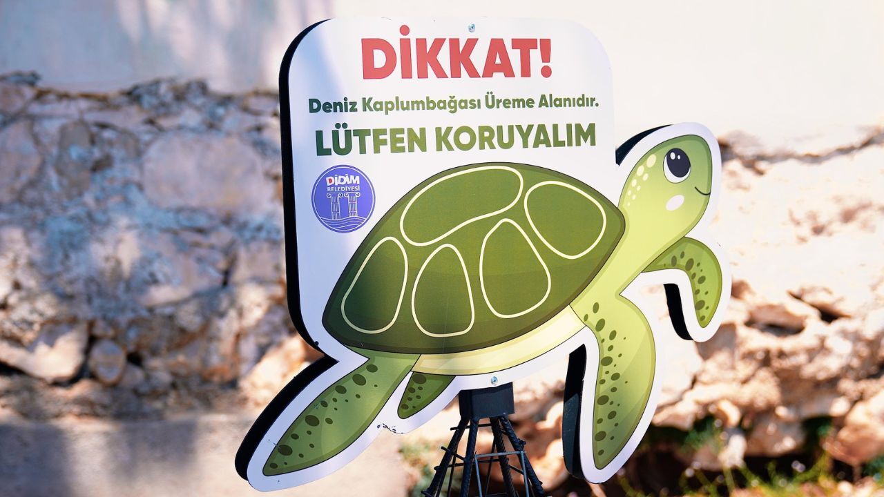 Didim’in Kıyıları Yeni Canlara Ev Sahipliği Yapıyor21
