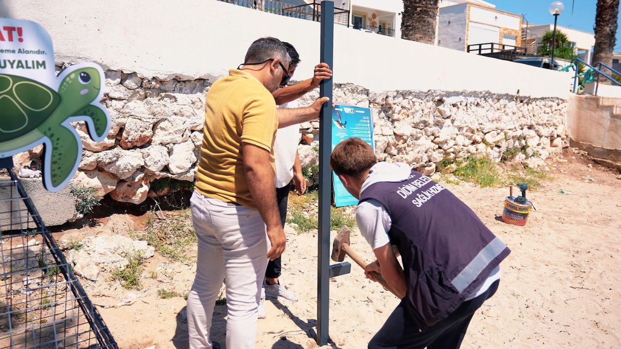 Didim’in Kıyıları Yeni Canlara Ev Sahipliği Yapıyoryu,