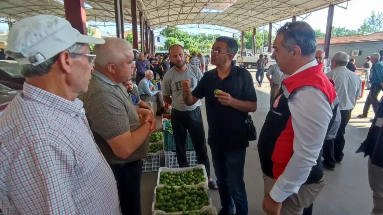 Dünya Markası Incir Için Sahaya Indiler 3
