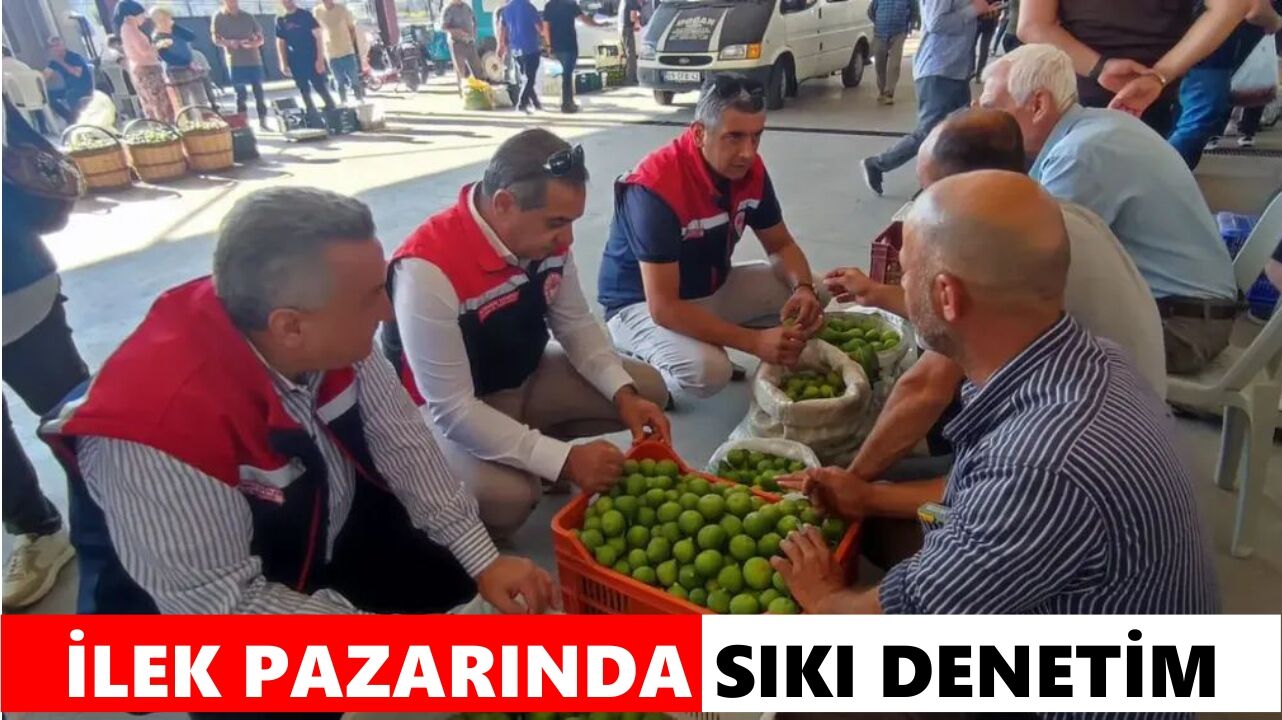 Dünya markası incir için sahaya indiler: Nazilli ilek pazarında yakın takip