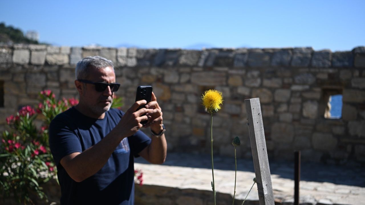 Dünyada Sadece Kuşadası’nda Yetişiyor