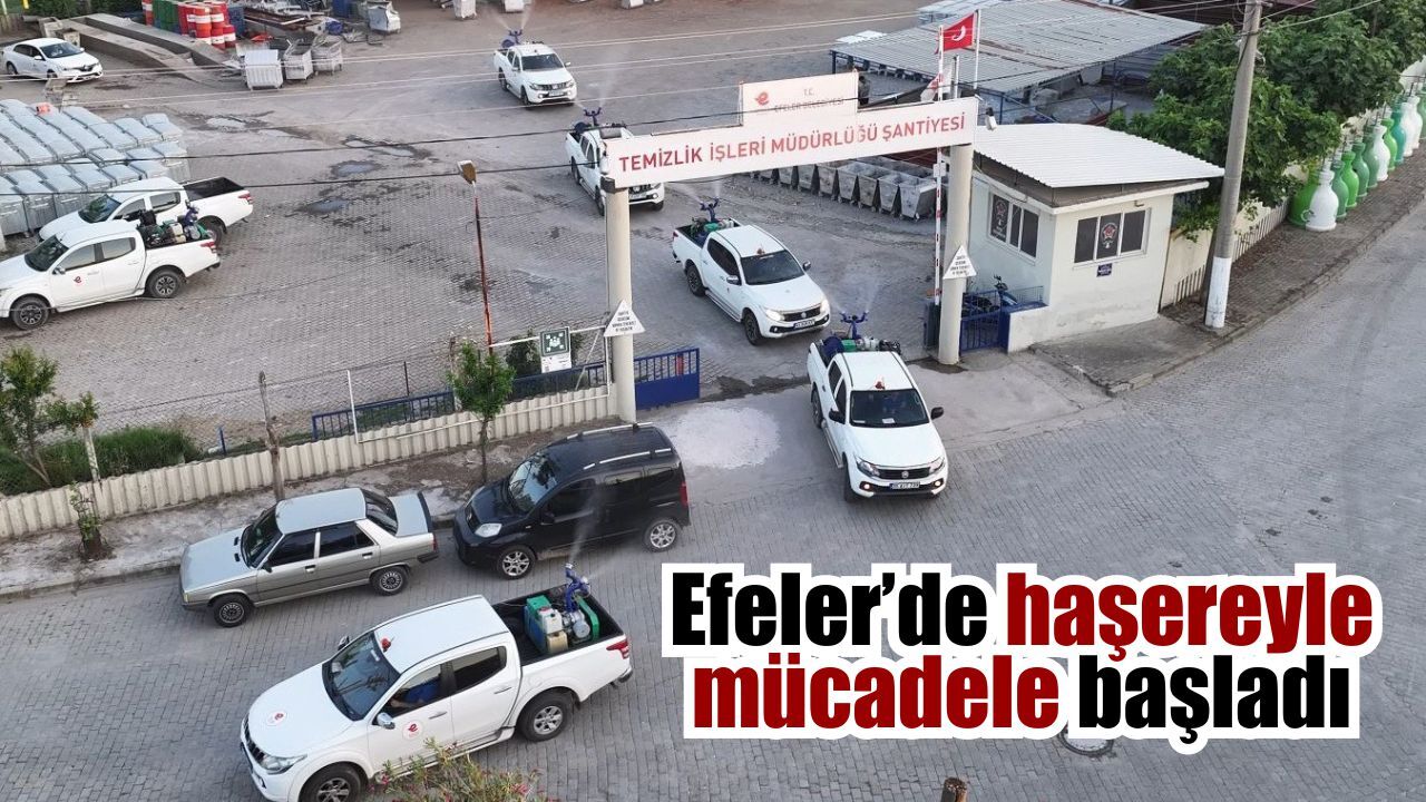 Efeler Belediyesi sivrisineğe karşı sahaya indi