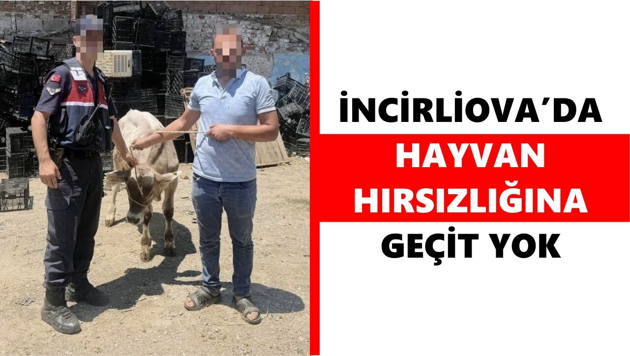 Jandarma iz sürdü, çalınan büyükbaş hayvan saatler içinde bulundu