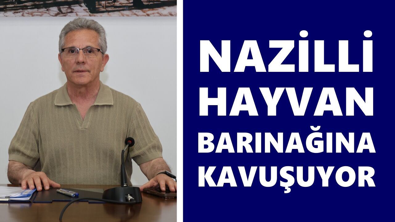 Nazilli hayvan barınağına kavuşuyor