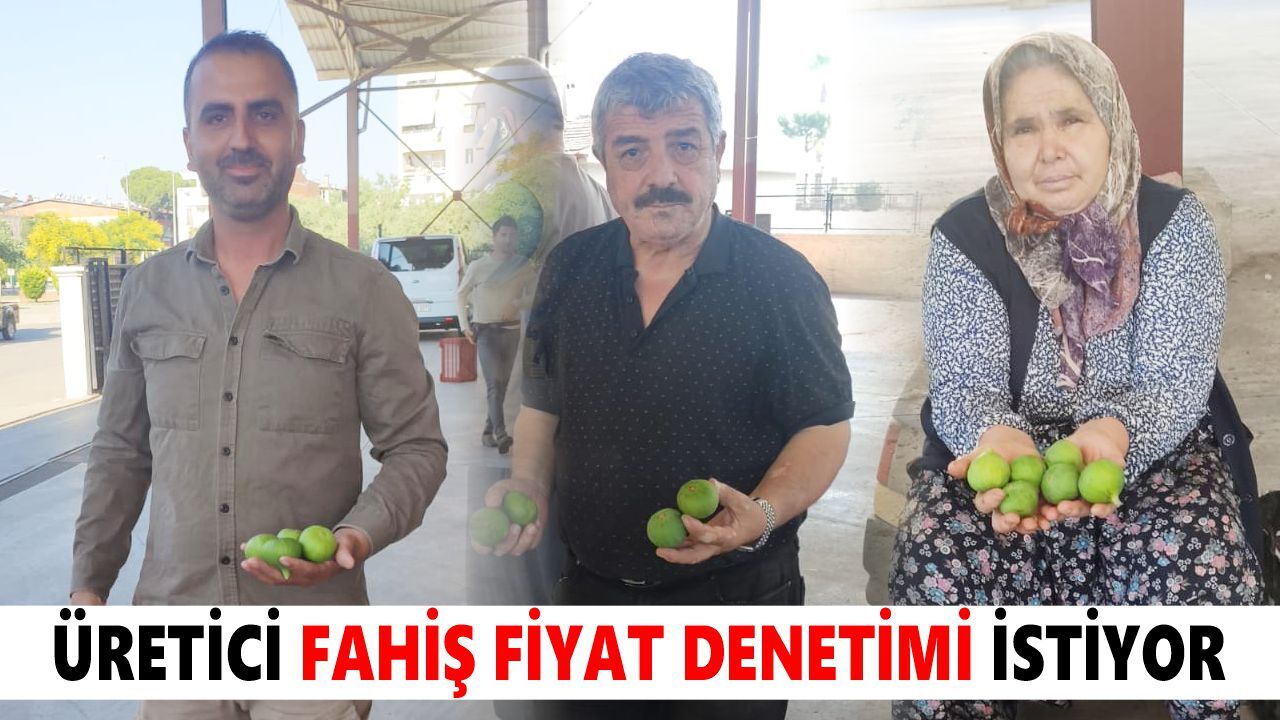 Nazilli'de ilek tezgâhları kuruldu