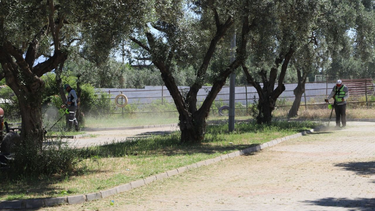Nazilli’de Parklar Yaz Sezonuna Hazırlanıyor1