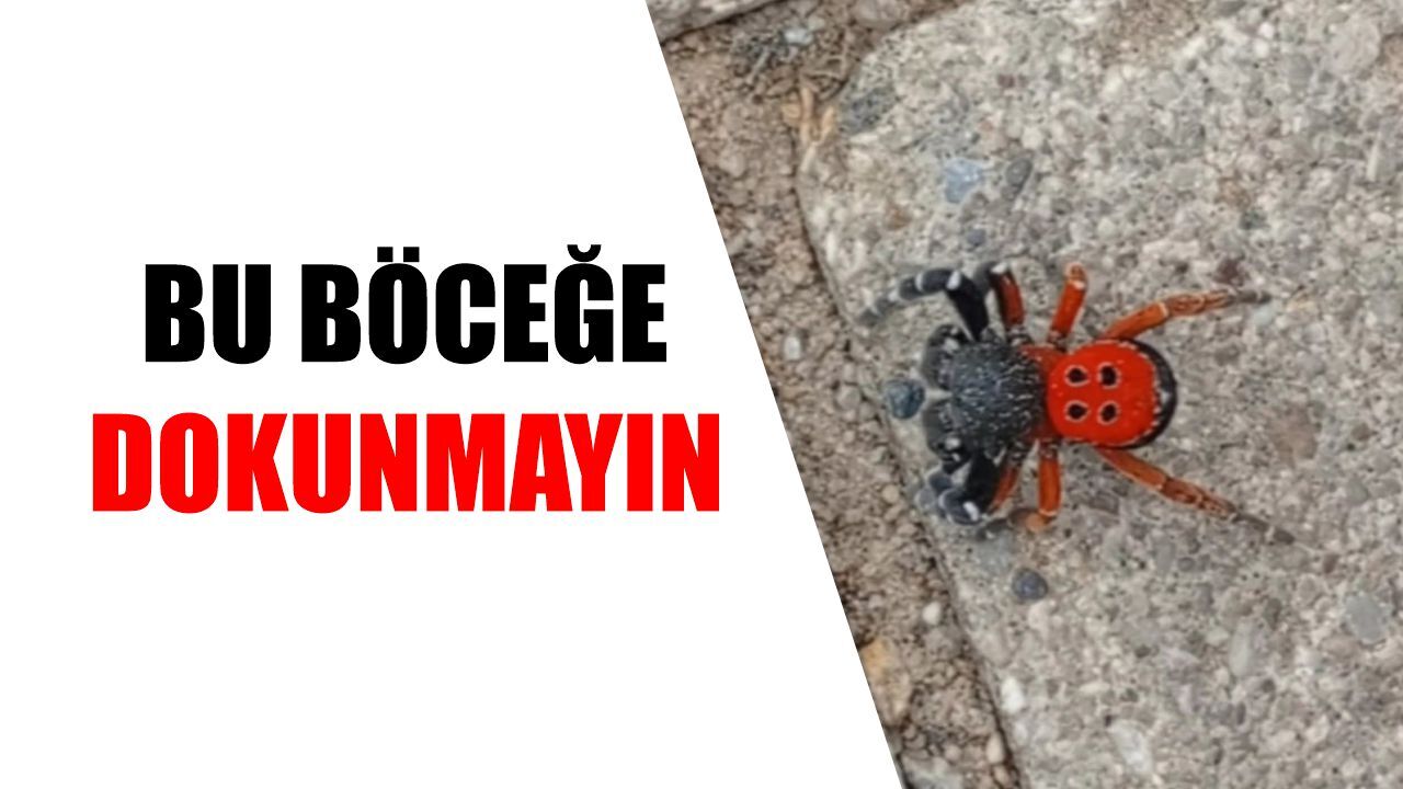 Nazilli'ye hayati uyarı