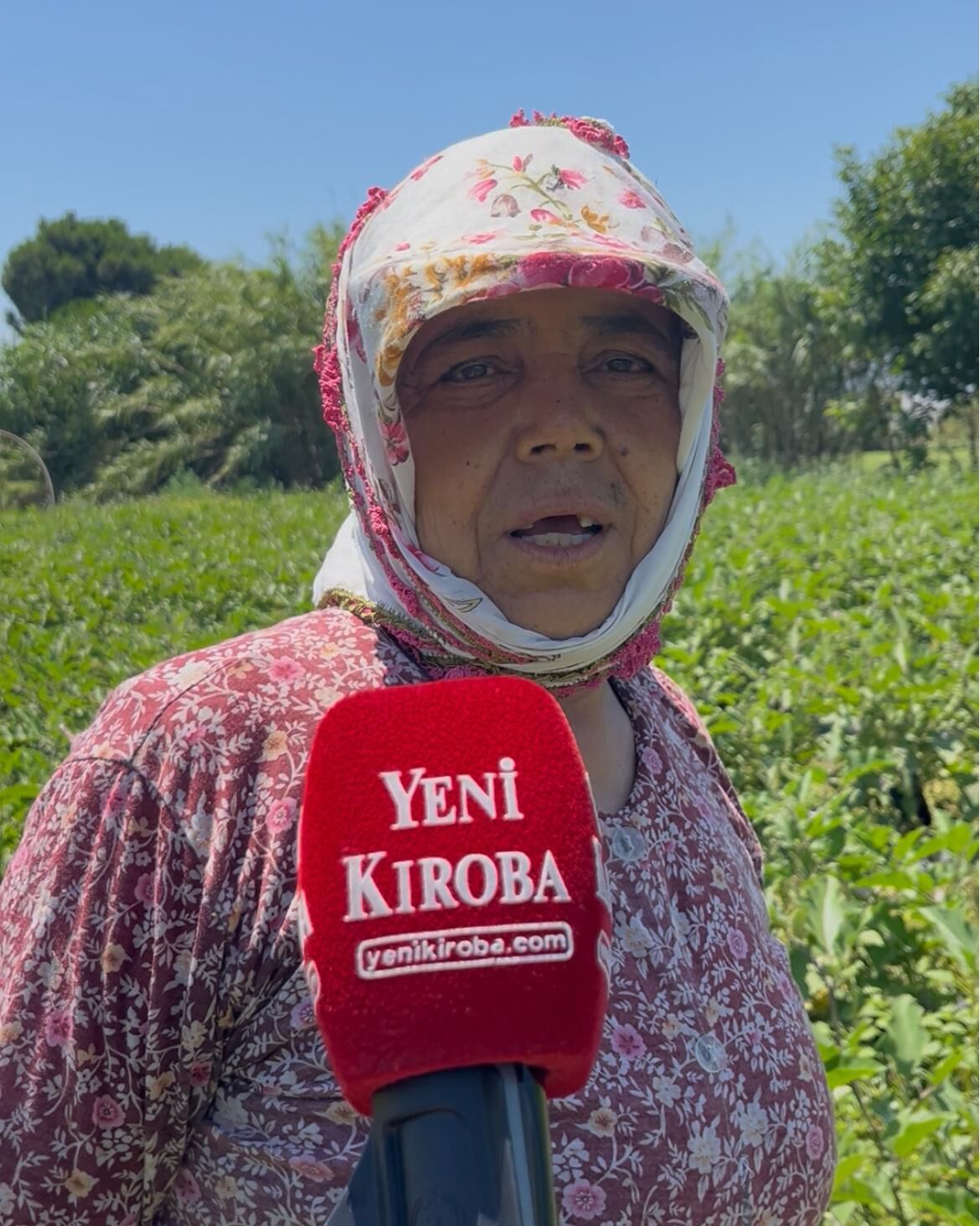 Saniye Teyze