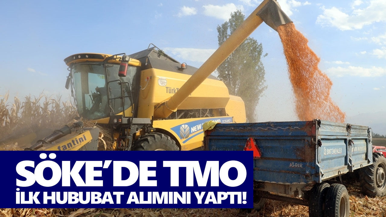 Söke’de TMO ilk hububat alımını yaptı!