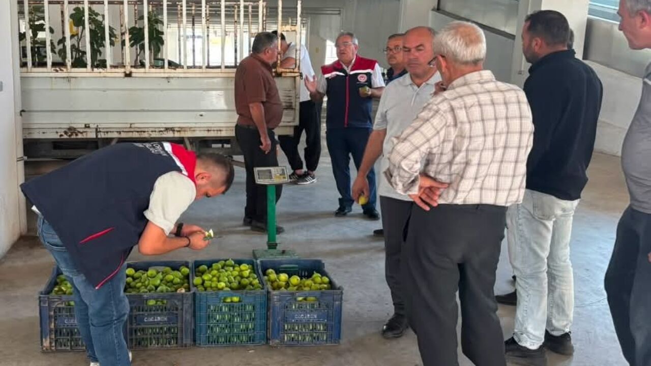 Tam Otomatik Gişe Aydın Denizli Otoyolu'nda 2-1