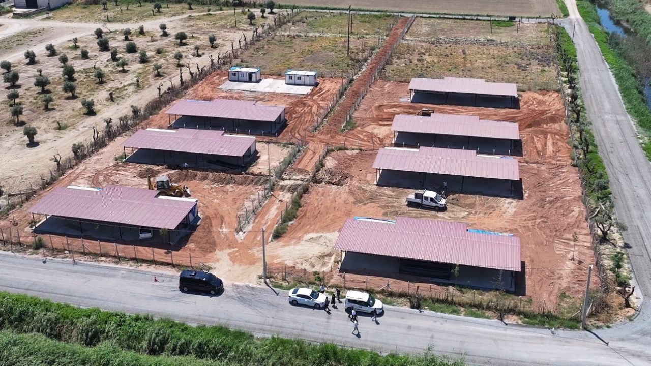 Yetişkin’den Patili Dostlara 26 Bin Metrekarelik Yaşam Alanı