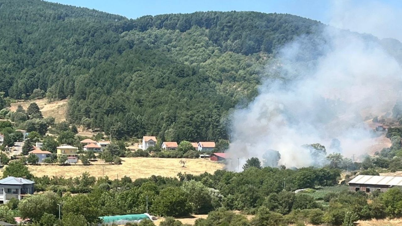 3 Helikopter Havalandı! Aydın'daki Yangında Acı Bilanço