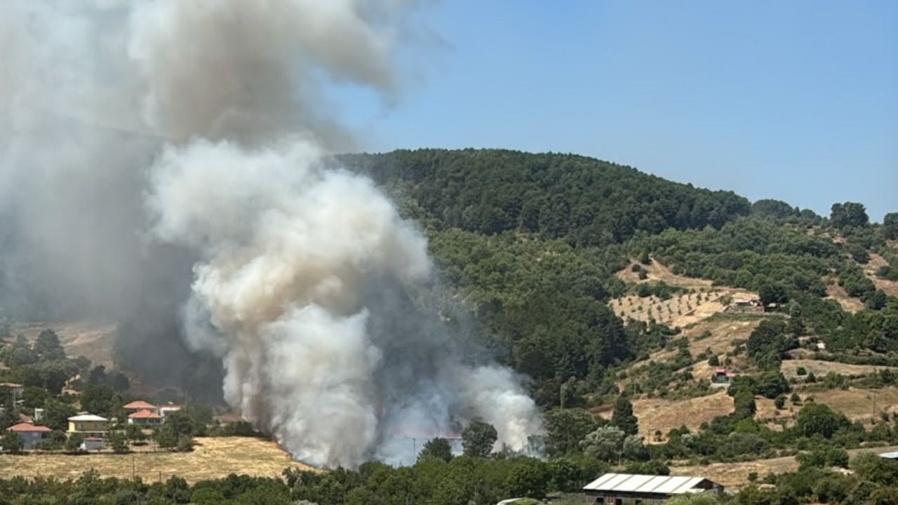 3 Helikopter Havalandı! Aydın'daki Yangında Acı Bilanço1