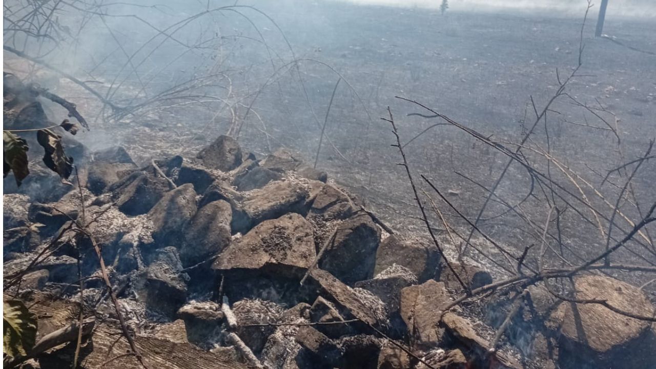 3 Helikopter Havalandı! Aydın'daki Yangında Acı Bilanço34